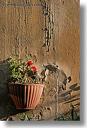 europe, flowers, geraniums, italy, populonia, potted, towns, tuscany, vertical, walls, photograph