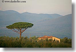 europe, horizontal, houses, italy, mountains, populonia, sunsets, towns, trees, tuscany, photograph