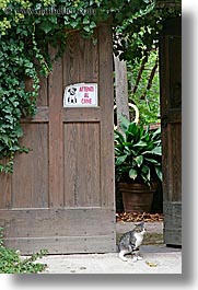 beware of dog, cats, doors, europe, italy, ivy, san quirico, signs, towns, tuscany, vertical, photograph
