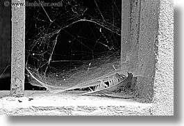 abstracts, black and white, cobwebs, europe, feathers, horizontal, italy, scarperia, slow exposure, towns, tuscany, photograph