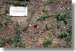 bricks, europe, flowers, horizontal, italy, red, roses, scarperia, stones, towns, tuscany, photograph