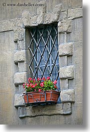 europe, flowers, geraniums, irons, italy, siena, towns, tuscany, vertical, windows, photograph