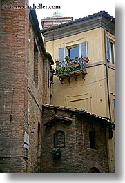 europe, flowers, geraniums, italy, siena, towns, tuscany, vertical, windows, photograph