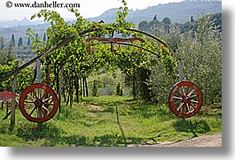 europe, grapes, horizontal, italy, tuscany, vines, wagon wheels, wheels, wineries, photograph