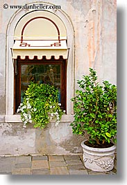 doors & windows, europe, italy, plants, potted, venecia, venezia, venice, vertical, windows, photograph