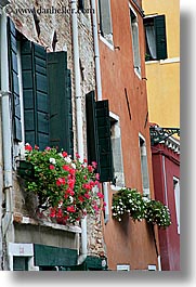 doors & windows, europe, flowers, italy, venecia, venezia, venice, vertical, windows, photograph