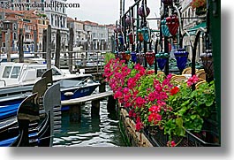 canals, europe, flowers, horizontal, italy, venecia, venezia, venice, photograph