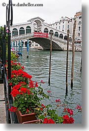 bridge, europe, flowers, italy, rialto, rialto bridge, venecia, venezia, venice, vertical, photograph