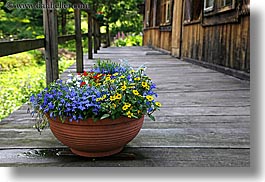colored, deck, europe, flowers, horizontal, poland, woods, photograph