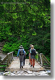 activities, bridge, europe, forests, hikers, hiking, nature, paths, people, plants, poland, trees, vertical, womens, photograph