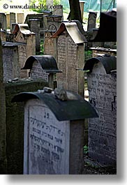cemetary, europe, gravestones, jewish, jewish quarter, krakow, poland, rehmu, religious, vertical, photograph