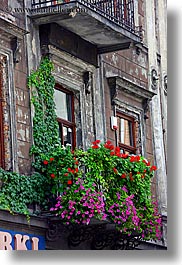 balconies, colored, europe, flowers, from, krakow, nature, plants, poland, vertical, photograph