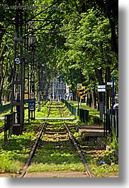 europe, krakow, plants, poland, railroad tracks, tracks, trains, transportation, trees, vertical, photograph