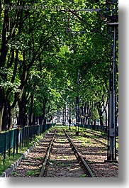 europe, krakow, plants, poland, railroad tracks, tracks, trains, transportation, trees, vertical, photograph