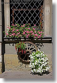 europe, flowers, krakow, nature, plants, poland, vertical, wheels, windows, woods, photograph