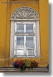 colorful, colors, europe, flowers, krakow, oranges, poland, vertical, walls, windows, yellow, photograph