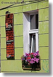colors, europe, flowers, green, krakow, pink, poland, vertical, walls, windows, photograph