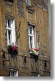 boxes, europe, flowers, krakow, poland, red, vertical, windows, photograph