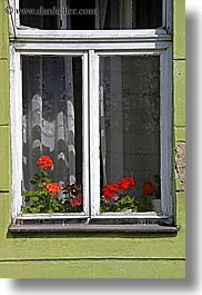 colors, europe, flowers, green, krakow, poland, red, vertical, windows, photograph