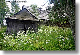 barn, buildings, europe, green, horizontal, old, poland, weeds, zakopane, photograph