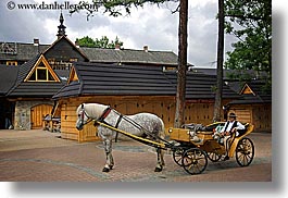 buggy, europe, harse, horizontal, people, poland, zakopane, photograph