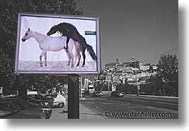 artsie, europe, horizontal, horses, portugal, signs, western europe, photograph