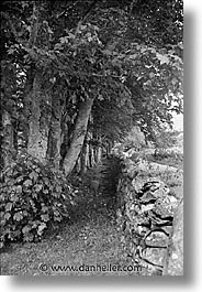 black and white, england, europe, fences, scotland, united kingdom, vertical, woods, photograph