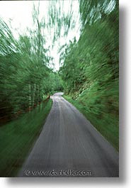blur, england, europe, motion, roads, scotland, speed, trees, united kingdom, vertical, photograph