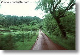 blur, england, europe, horizontal, motion, roads, scotland, speed, trees, united kingdom, photograph