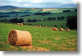 bales, england, europe, hay, horizontal, scenics, scotland, united kingdom, photograph