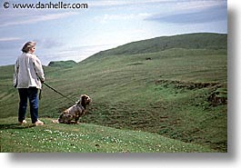 dogs, england, europe, horizontal, scotland, skye, united kingdom, photograph