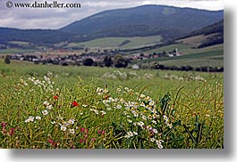 colorful, europe, fields, flowers, horizontal, slovakia, wildflowers, photograph