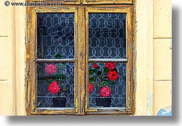 europe, flowers, geraniums, horizontal, slovakia, windows, photograph