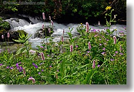 europe, flowers, horizontal, rivers, slovakia, slow exposure, wildflowers, photograph