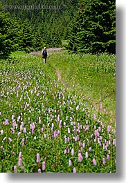 europe, hikers, hiking, slovakia, vertical, wildflowers, photograph