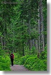 europe, hikers, hiking, paths, slovakia, vertical, photograph
