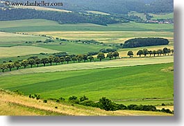 colors, europe, green, horizontal, land, landscapes, nature, patches, plants, slovakia, trees, photograph