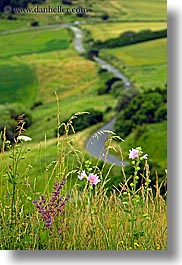 colors, europe, green, landscapes, roads, slovakia, vertical, wildflowers, photograph
