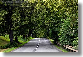 colors, europe, green, horizontal, lined, roads, slovakia, streets, trees, photograph