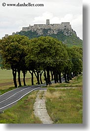 castles, europe, lined, roads, slovakia, spis castle, trees, vertical, photograph