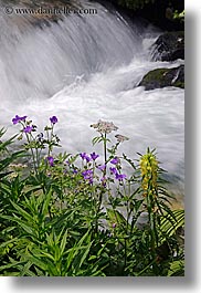 europe, flowers, flowing, motion blur, rivers, slovakia, vertical, water, photograph