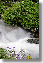 europe, flowers, flowing, motion blur, rivers, slovakia, slow exposure, vertical, water, photograph