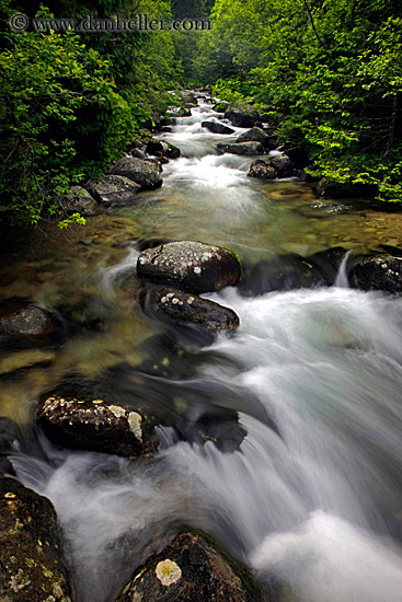 flowing-river-n-leaves-1.jpg