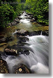 europe, flowing, leaves, motion blur, rivers, slovakia, slow exposure, vertical, water, photograph