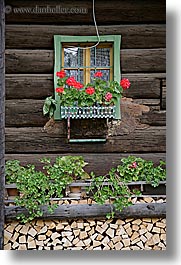 bohinj, europe, flowers, geraniums, slovenia, vertical, windows, woods, photograph
