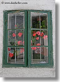 dirty, europe, flowers, ljubljana, slovenia, vertical, windows, photograph