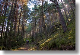 activities, ansovell, europe, forests, hikers, hiking, horizontal, nature, people, plants, sky, spain, sun, trees, photograph