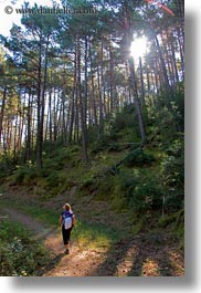 activities, ansovell, europe, forests, hikers, hiking, nature, people, plants, sky, spain, sun, trees, vertical, photograph