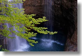 branches, europe, horizontal, ordesa, spain, trees, waterfalls, photograph