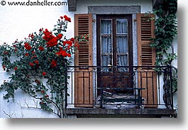 chamonix, europe, horizontal, roses, switzerland, windows, photograph